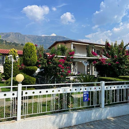Nili Hotel فلورا المظهر الخارجي الصورة